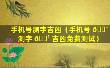 手机号测字吉凶（手机号 🐯 测字 🌹 吉凶免费测试）